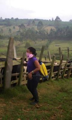 11954652_901357433281780_5744659468219565142_n