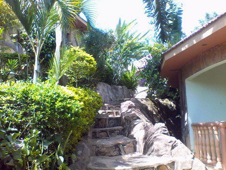 One of the ways leading you to a cottage
