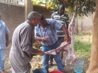 TDA collapse was inevitable – Frank K Tumwebaze