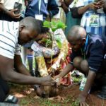 Hundreds attend Save Amani Car Wash Fundraiser at Panamera