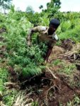 ‘Sanitation helps stop diseases from spreading’- NWSC MD