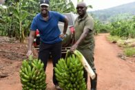 A ray of Hope for the girl child in Uganda