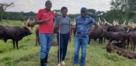 Gorgeous Katatumba impresses at Basajjabalaba function