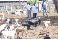 Pictorial: How it went down at Minister Molly Kamukama’s Thanksgiving