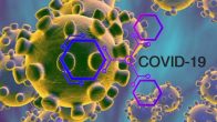 COVID-19: Challenges, Lessons and way forward for the Labour Externalization Industry in Uganda
