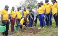 President M7 to address the nation over COVID-19 as cases soar