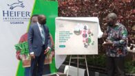 Ebonylife Studios, Will Packer Productions and Universal Pictures nab Competitive Rights to Bloomberg Article “The Fall Of The Billionaire Gucci Master”
