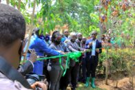 Ugandan economy to bounce back stronger, economists assure