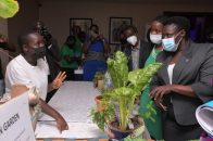 Black Out Party to fire up Palm Hub Spa