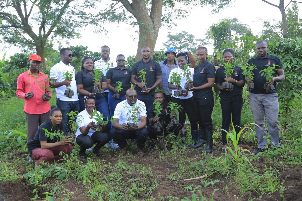 UBL staff’s reforestation efforts continue, plant 5000 trees in Nakaseke