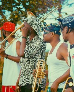 MultiChoice Talent Factory Academy, SAE Institute Announces Free Film Training Opportunity for Africans