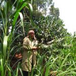  Cultivating Success through dfcu Bank’s Rising Woman Initiative: The Inspiring Story of Christine Atieno and Mt. Elgon Women Specialty Coffee