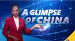  A Glimpse of China: Bridging Cultures and Fostering Collaboration Between Africa and China