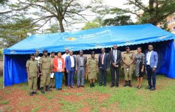Jinjera Reggae music festival launched