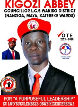 Part II: Unveiling more personalities set to stand for 2026 Parliamentary Elections