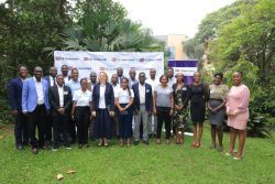 Huawei and Global Sustainability Stakeholders Discuss How to Thrive with Green ICT