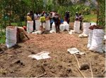  NARO-KOPIA Cooperation Enhances Agricultural Productivity