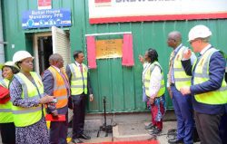 Business is blooming in East Africa – UK suspends tariff for flower exports