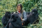  Here Are The Beautiful Places To Find Mountain Gorillas In Africa