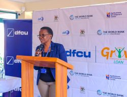 Buganda, Ankole & Busoga Regions Getting Highest Remittances From Abroad- Report