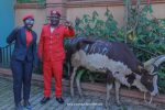  Jimmy Lukwago donates a cow to Wakiso Youth
