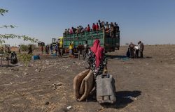 Senegal to host the 2025 Summit of the Africa Food Systems (AFS) Forum