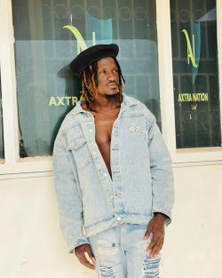 Pallaso announces concert dates
