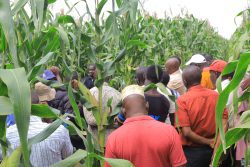 FINCA Uganda in mega back-to-school quick loan offers