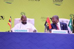HiPipo & COMESA Business Council in partnership to extend Include Everyone program