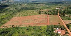 Kampala & Sebei Sub Regions Shine As New Report Reveals PDM Best/Worst Performing Sub Regions