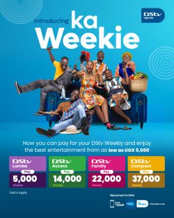 Bridging the Digital Divide: Zambian Firm Powers Financial Inclusion Through FinTech Innovation