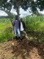  Rwakakamba Morrison hails MAAIF, NARO & NAGRIC for drought resistant cow grass