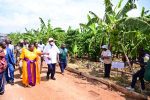  Prime Minister’s Farm in Kakumiro Demonstrates 4-Acre Model Success with Support from NARO