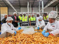Ugandan private sector continues to grow amid upturn in output in August