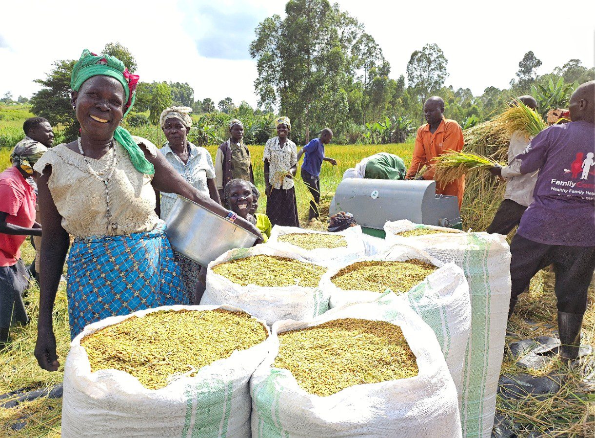 West Nile Farmers Turn to Rice for Food and Incomes West Nile Farmers Turn to Rice for Food and Incomes