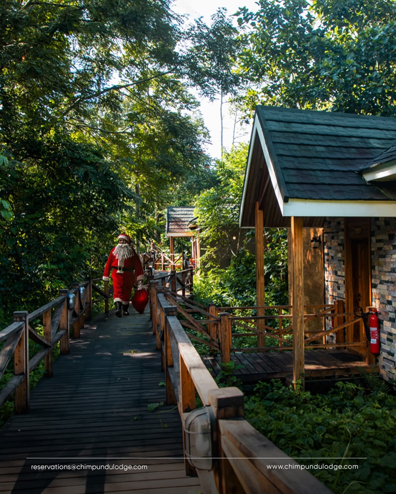  Why you need to spend this Christmas at Chimpundu Lodge