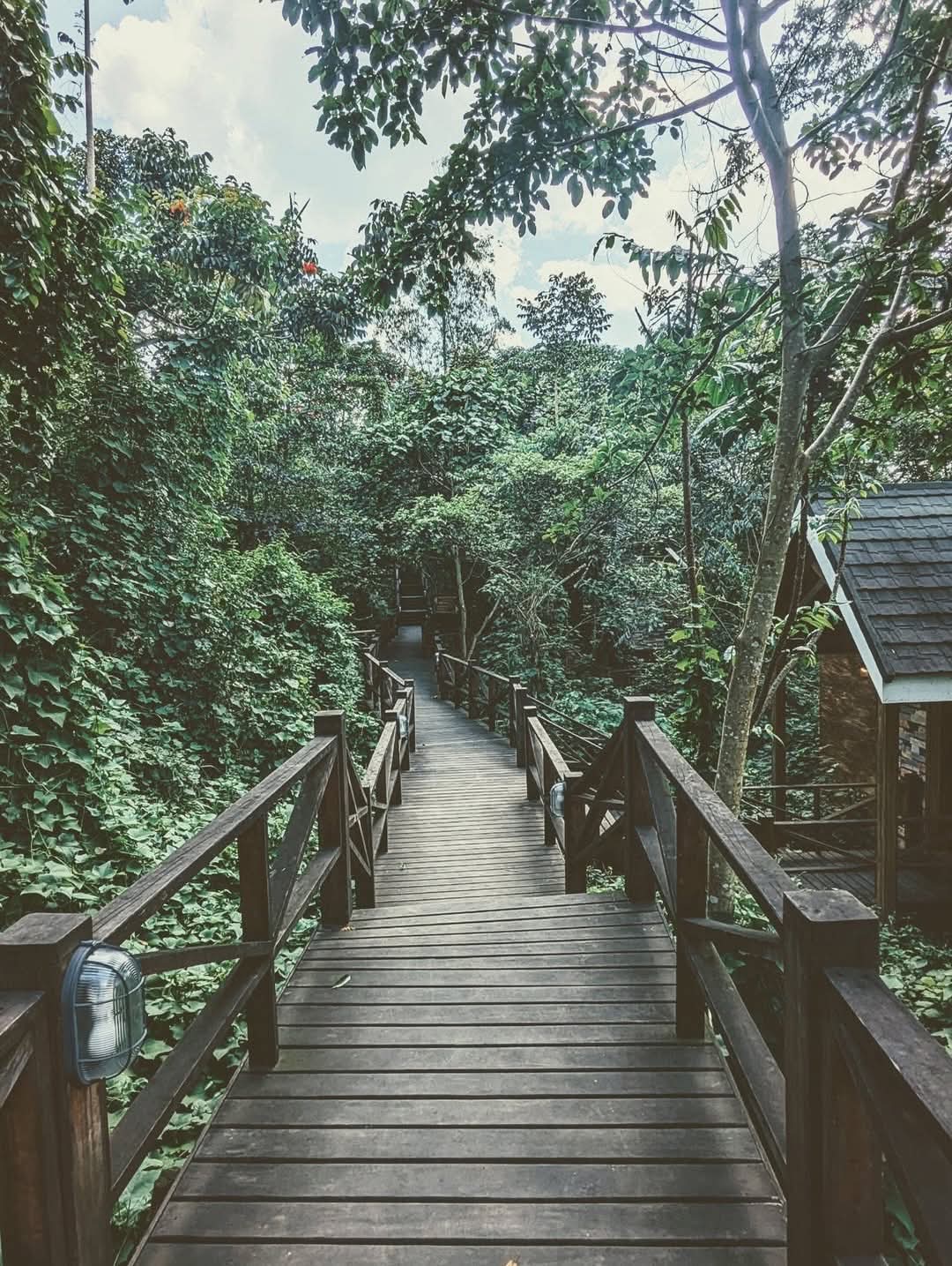  Travel: The mesmerizing Chimpundu luxury safari Lodge in Kibale Forest