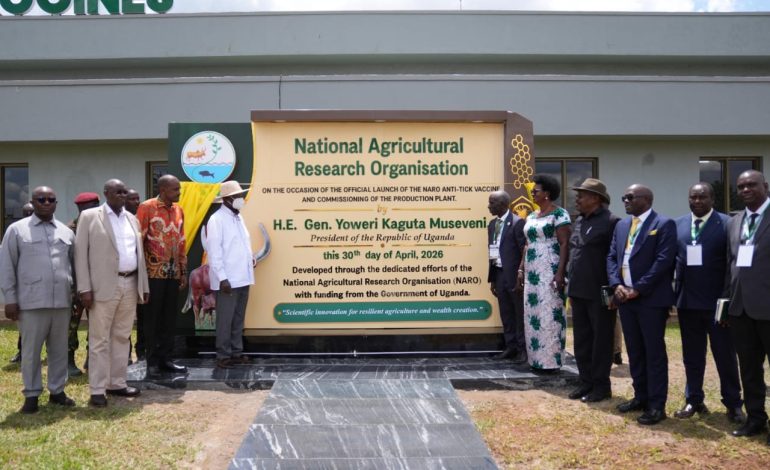 A TURN OF THE TIDE: Uganda Unveils Homegrown Anti-Tick Vaccine in Major Leap for Africa’s Livestock Sector