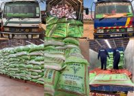 Hajjat Hanifah Karadi donates 200 cows to Kawempe community for Eid